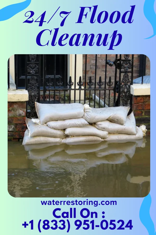 24/7 Flood Cleanup in Pleasant Ridge, MI