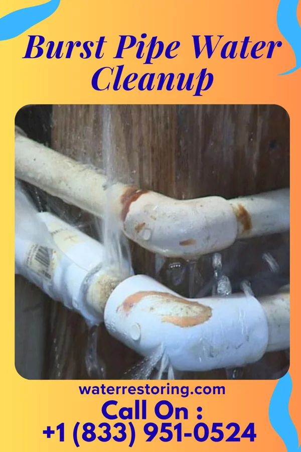 Burst Pipe Water Cleanup in Pleasant Ridge, MI