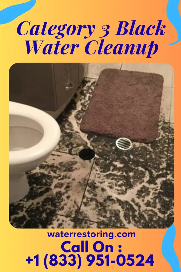 Category 3 Black Water Cleanup in Pleasant Ridge, MI