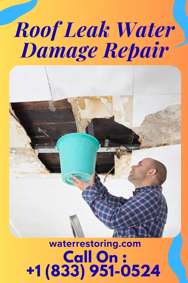 Roof Leak Water Damage Repair in Pleasant Ridge, MI