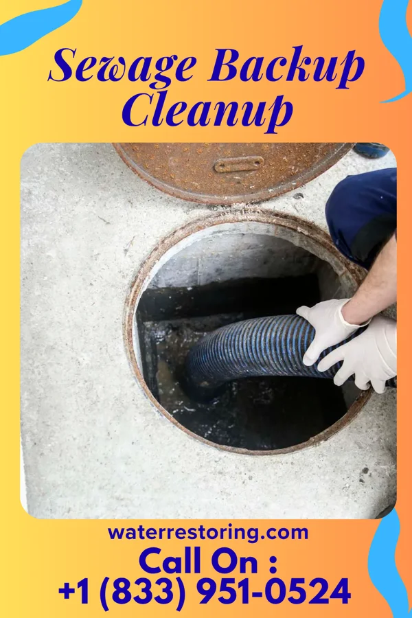 Sewage Backup Cleanup in Pleasant Ridge, MI